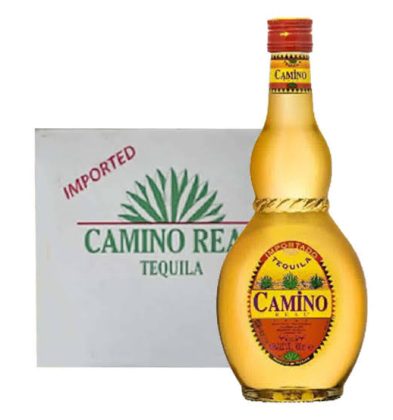 CAMINO GOLD
